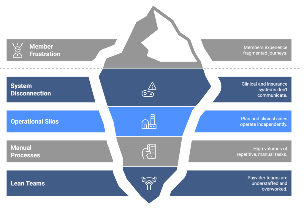 Payvider Challenges: Unveiling the Hidden Depths